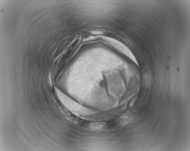 X0000052570373200507292012