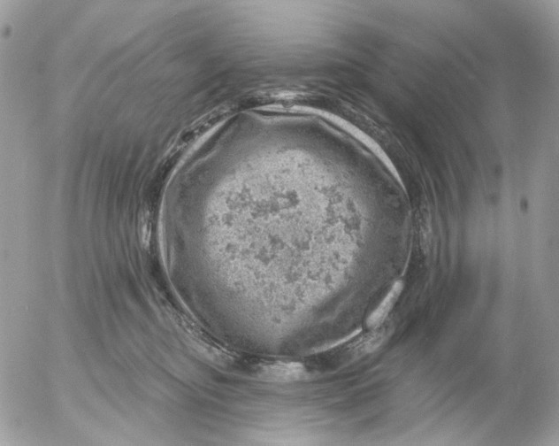 X0000052570374200507292012