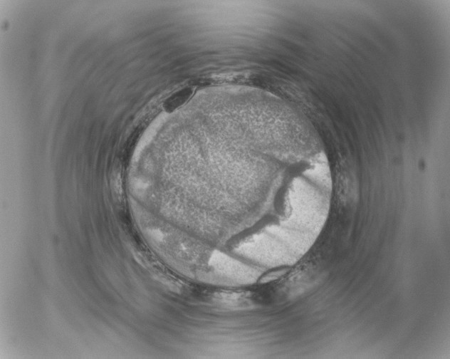 X0000052570375200507292012