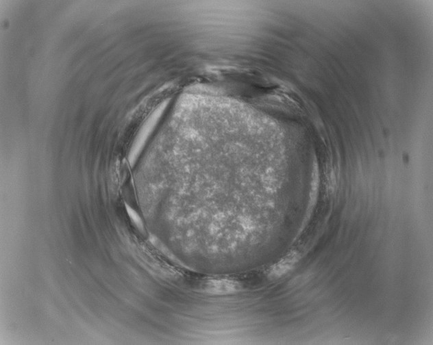 X0000052570376200507292012