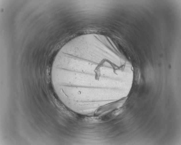 X0000052570378200507292012