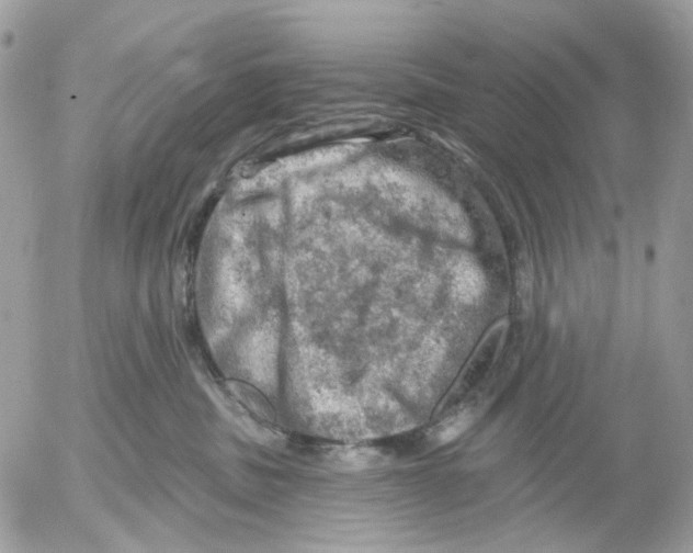 X0000052570379200507292012