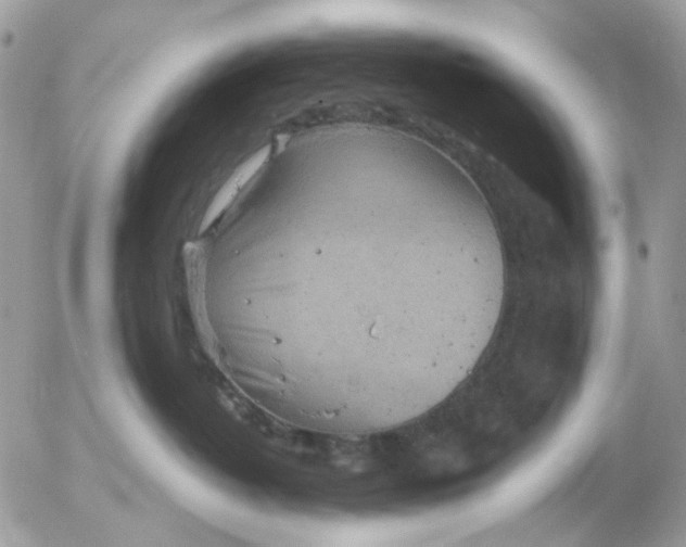 X0000052570382200507292012