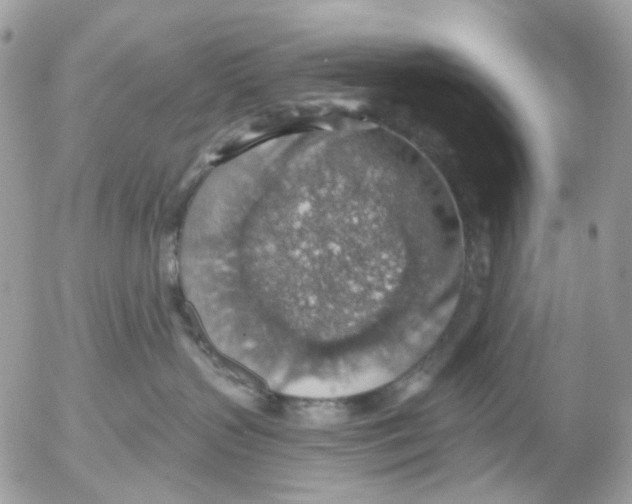 X0000052570383200507292013