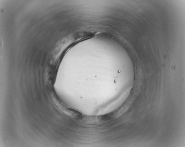 X0000052570384200507292013