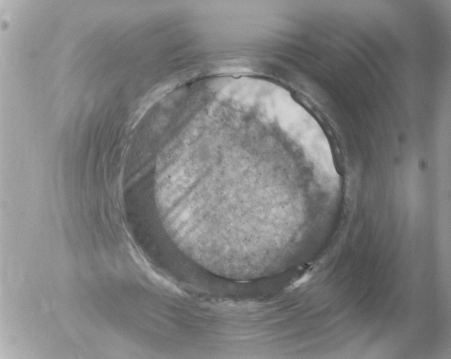 X0000052570385200507292012