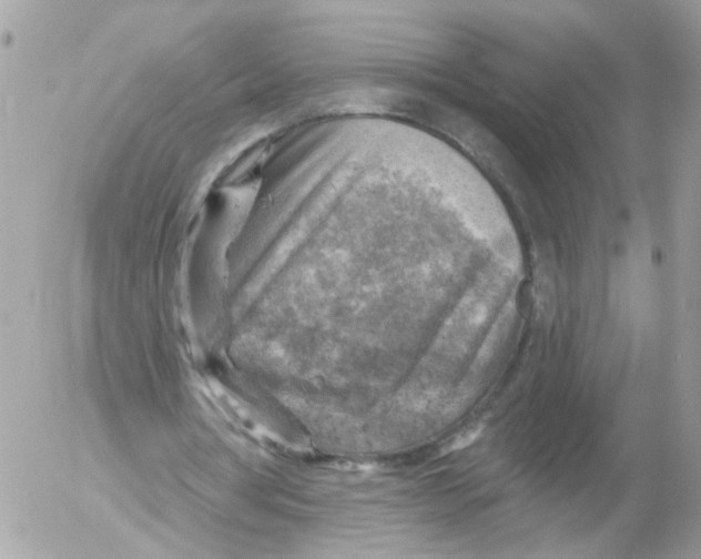 X0000052570386200507292012