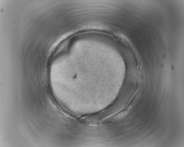 X0000052570388200507292012