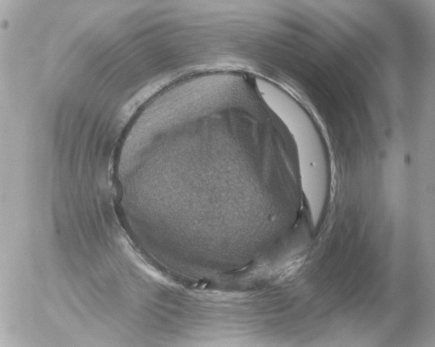 X0000052570389200507292012