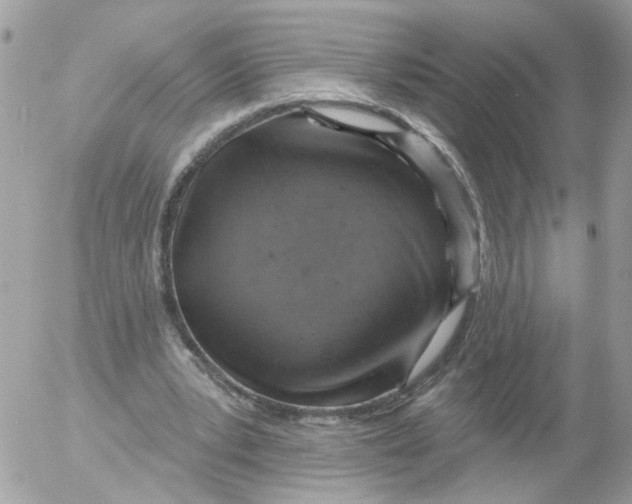 X0000052570391200507292012