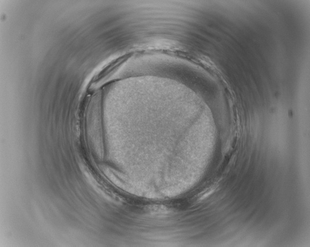 X0000052570392200507292012