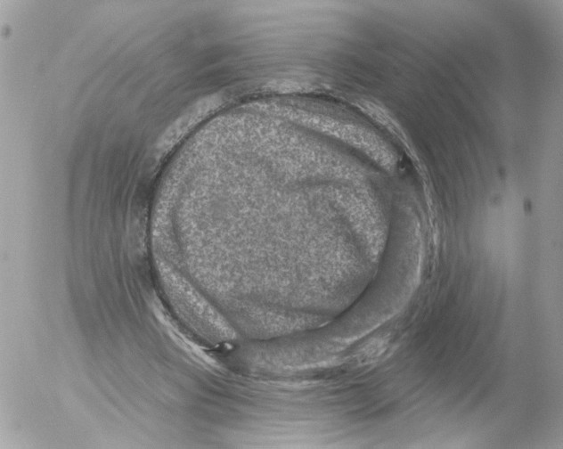 X0000052570393200507292012