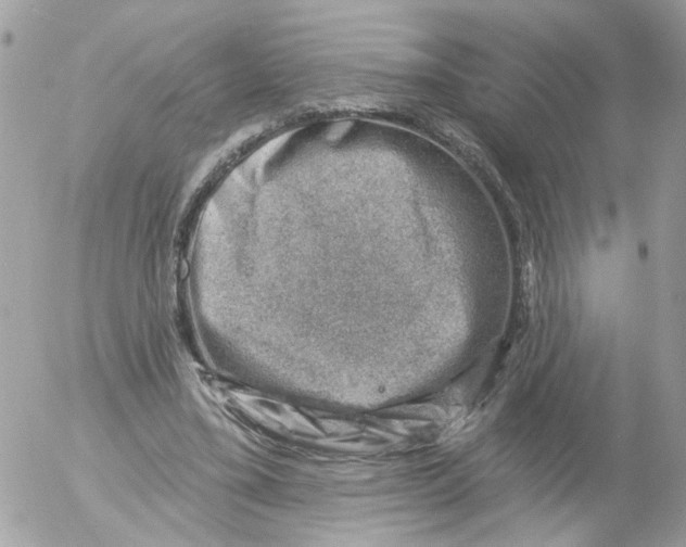 X0000052570395200507292012