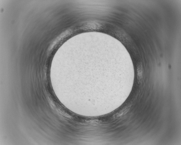 X0000052570396200507292012