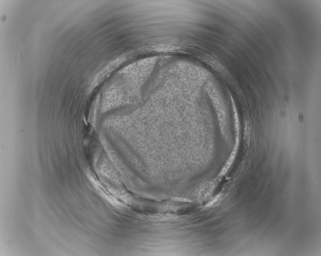 X0000052570397200507292012