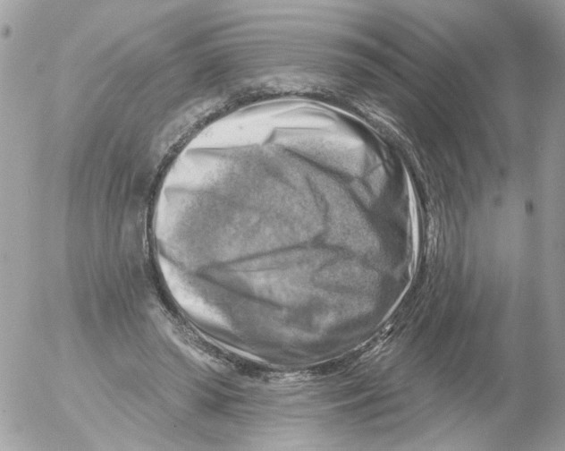 X0000052570398200507292012