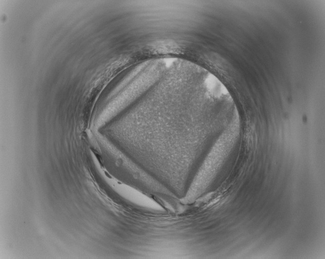 X0000052570402200507292011