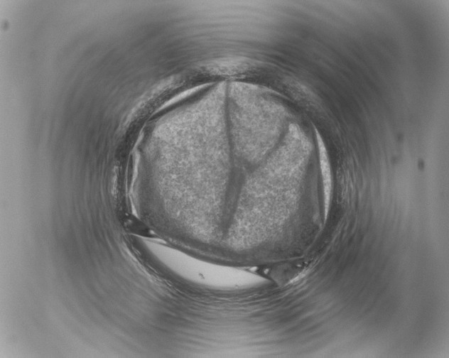 X0000052570404200507292011