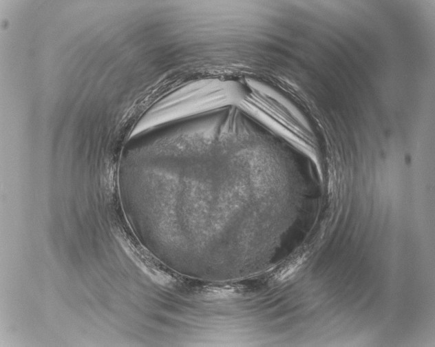 X0000052570405200507292011