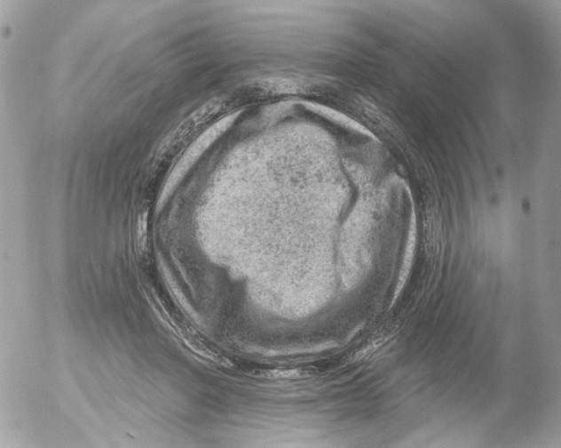 X0000052570406200507292011