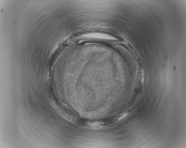 X0000052570407200507292011