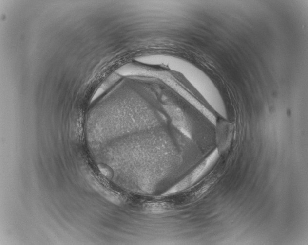 X0000052570408200507292011