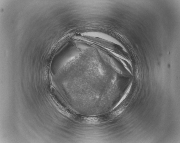 X0000052570409200507292011