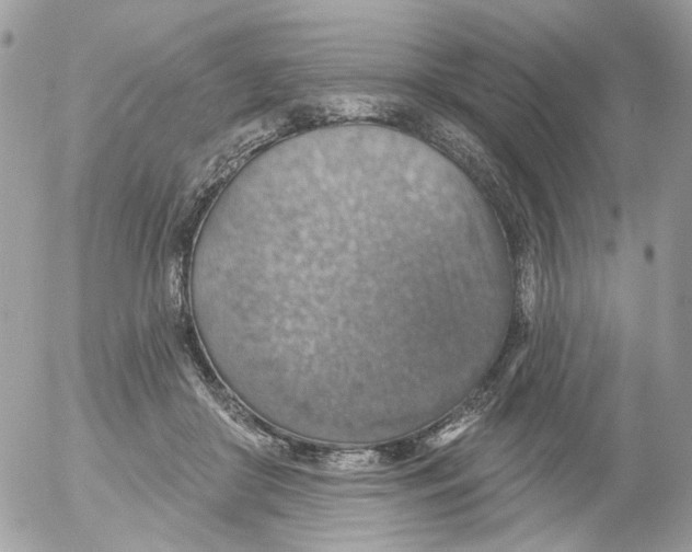 X0000052570410200507292011