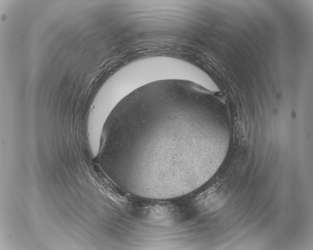 X0000052570412200507292011