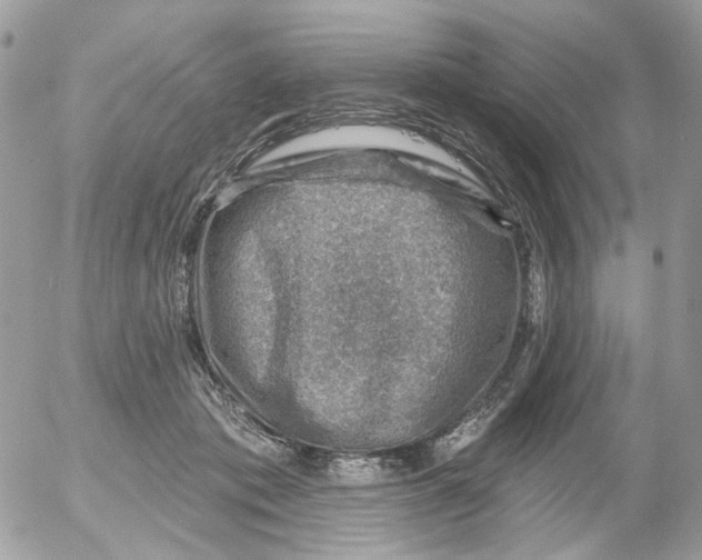 X0000052570413200507292011