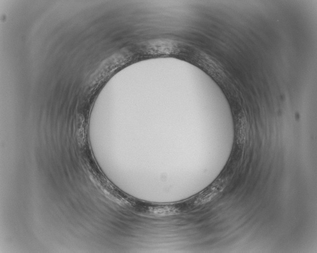 X0000052570414200507292011