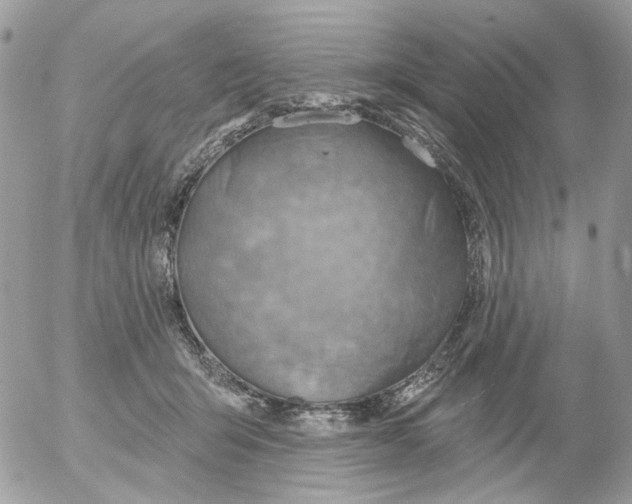 X0000052570415200507292011