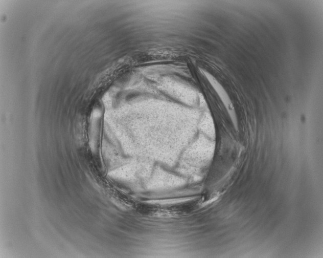 X0000052570416200507292011