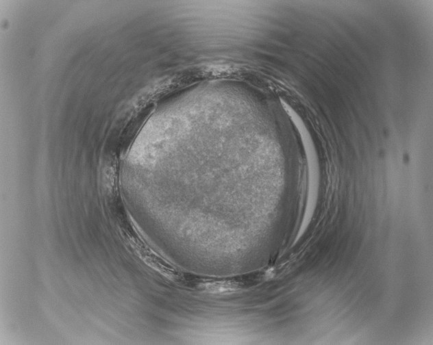 X0000052570417200507292011