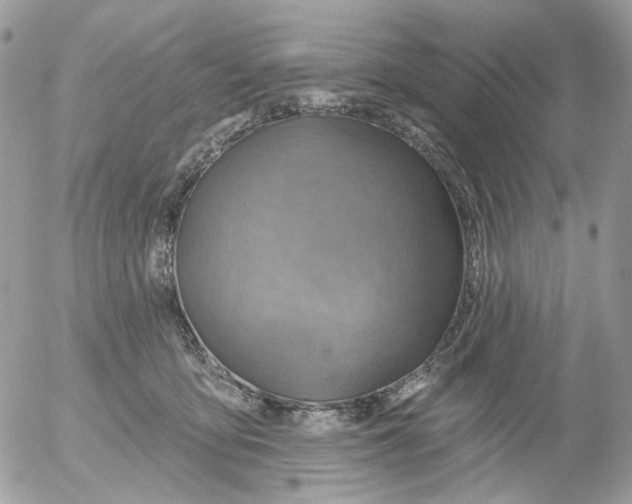 X0000052570419200507292011