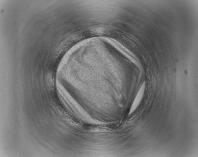 X0000052570420200507292011