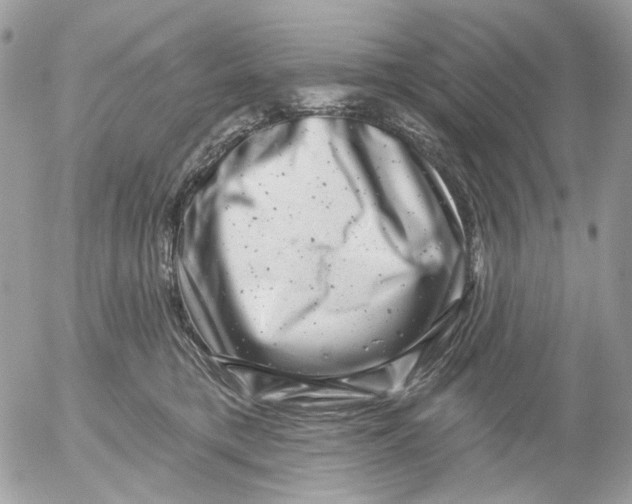 X0000052570421200507292011