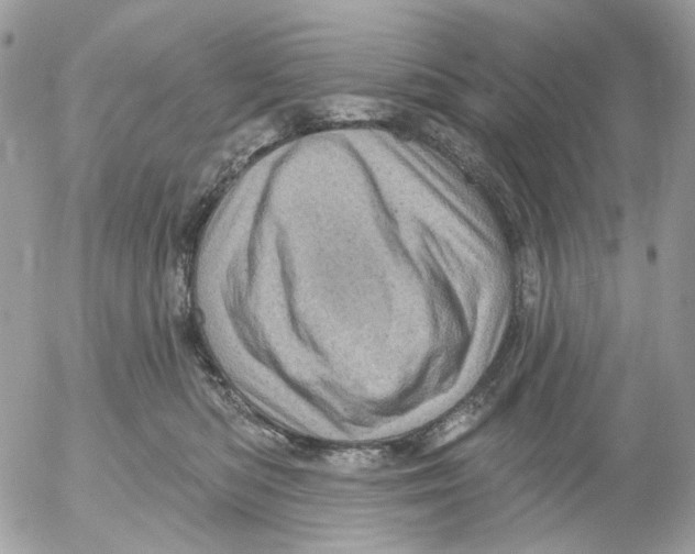 X0000052570422200507292011