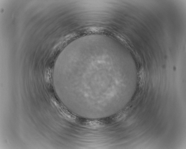 X0000052570423200507292011