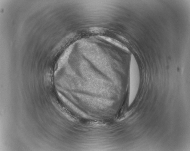 X0000052570424200507292011