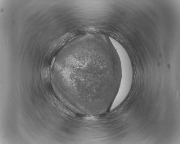 X0000052570425200507292011