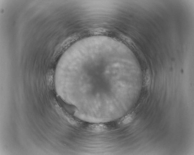 X0000052570427200507292011