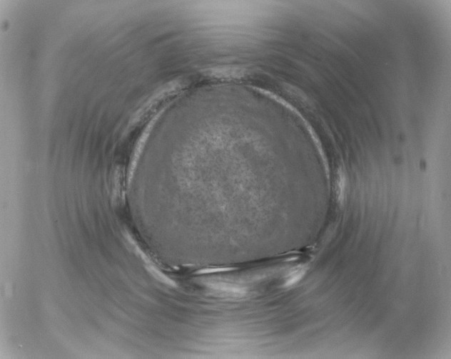 X0000052570428200507292011