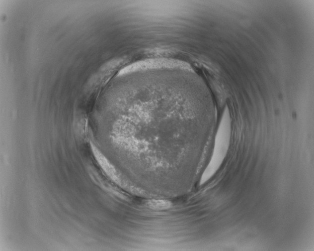 X0000052570429200507292011