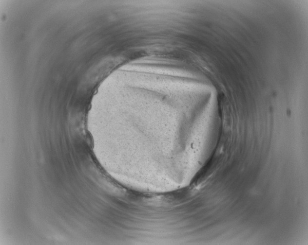 X0000052570430200507292011