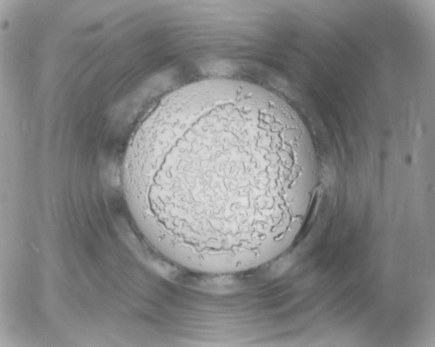 X0000052570431200507292011