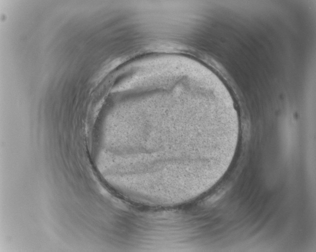 X0000052570433200507292010