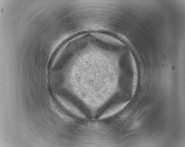 X0000052570439200507292010