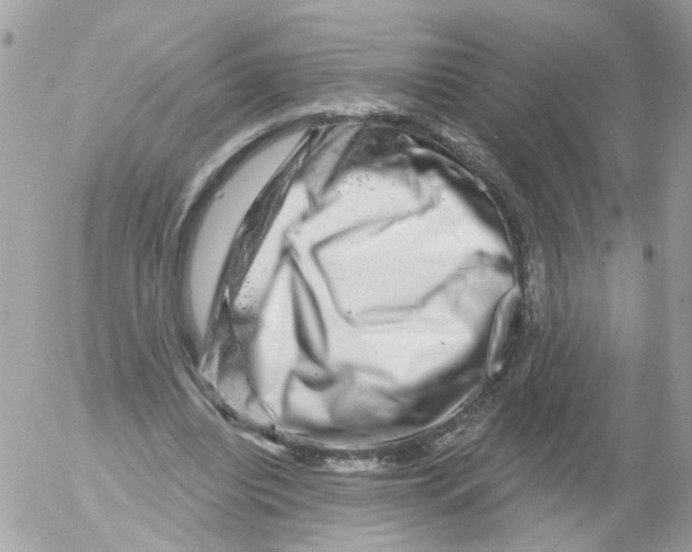 X0000052570440200507292010