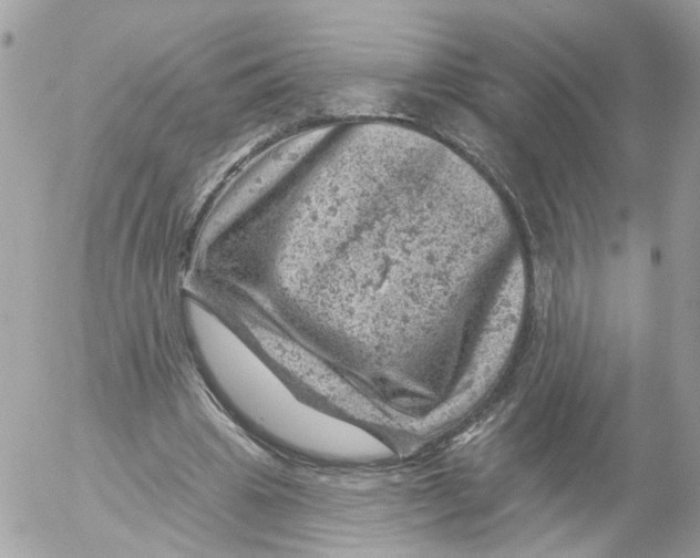 X0000052570441200507292010